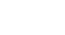 ZViZZER
